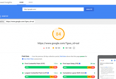screenshot of google pagespeed insights results for the url google.com