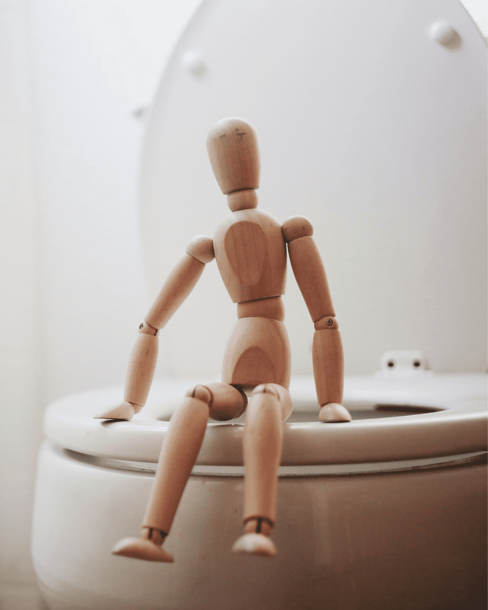 A wooden figure on the toilet